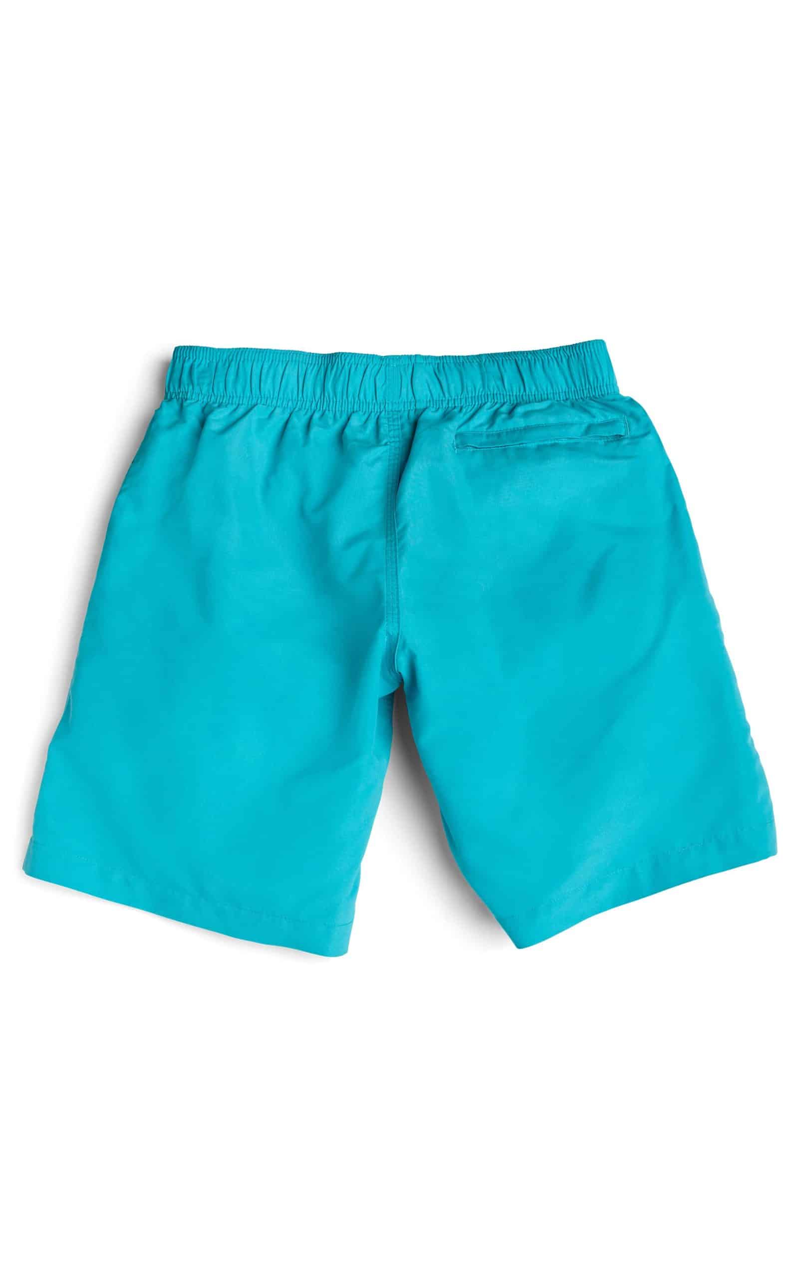 Boy's Volley Swim Trunk - Aqua - Wet Effect, Inc.